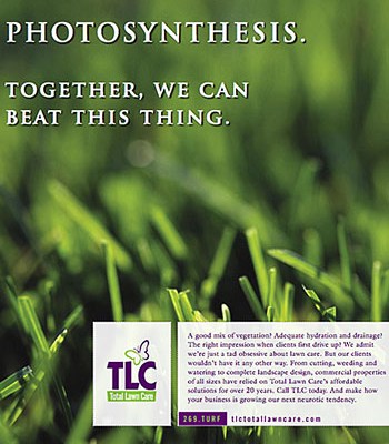 Photosynthesis print ad, a B2B marketing sample by Scott Silverman, Los Angeles copywriter and brand consultant.