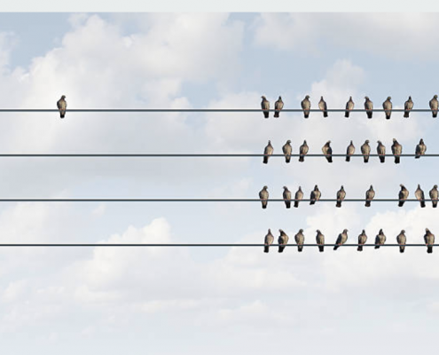 birds on a wire business development business blog, by Scott Silverman, Los Angeles copywriter and brand consultant.